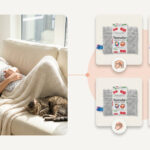 Termofor z pestek wiśni: jaki wybrać w 2026 roku?