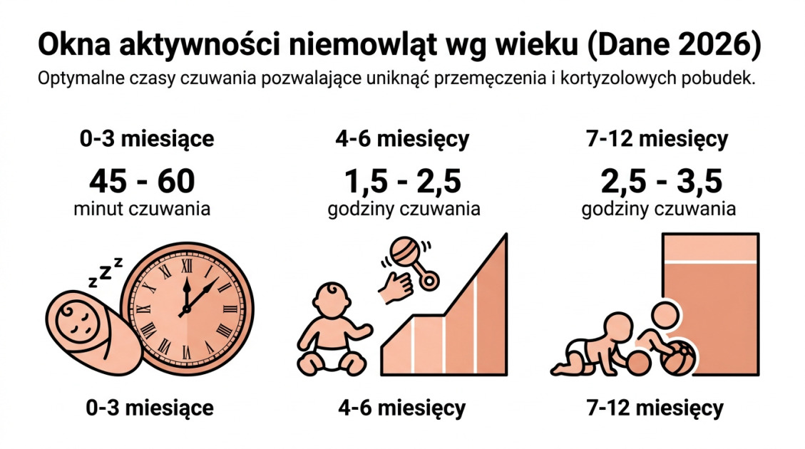 Okna aktywności niemowląt wg wieku (Dane 2026)