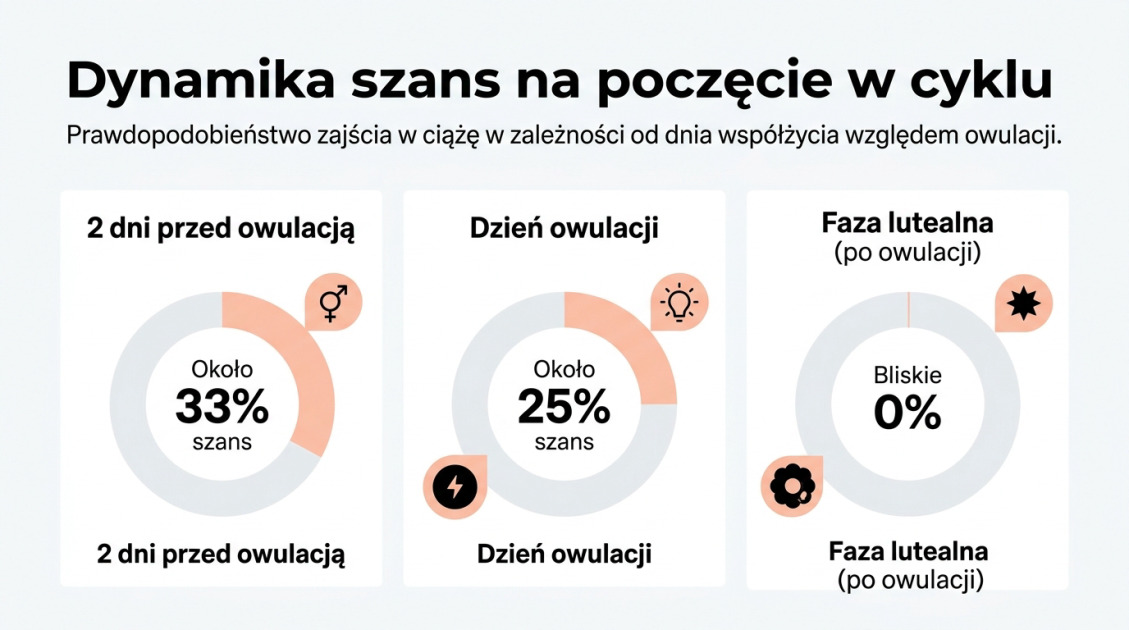 Dynamika szans na poczęcie w cyklu