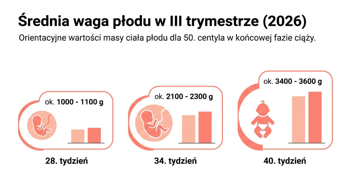 Średnia waga płodu w III trymestrze (2026)