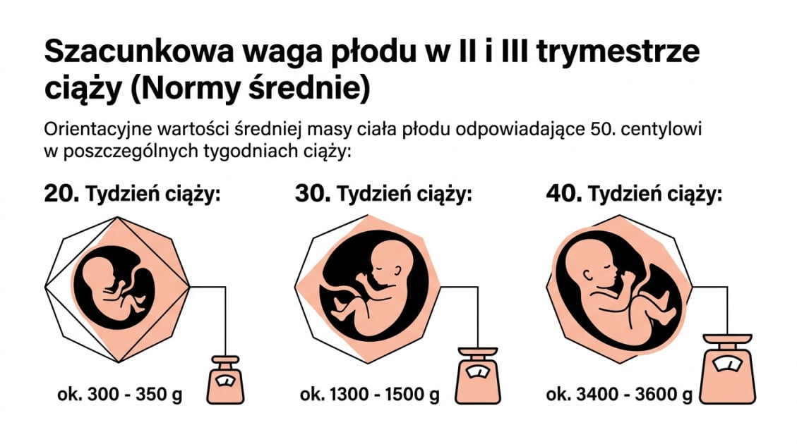 Szacunkowa waga płodu w II i III trymestrze ciąży (Normy średnie)